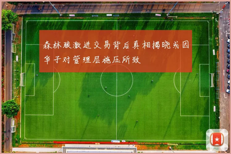 森林狼激进交易背后真相揭晓或因华子对管理层施压所致