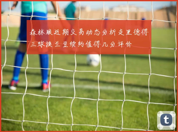 森林狼近期交易动态分析走里德得三球换兰豆续约值得几分评价